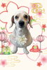 「Dog salon mofu mofu　余市町」