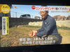 無事にオンエアされホッとしました📺「☆カラフル野菜の小山農園、フジテレビ『newsイット！』に📺☆」
