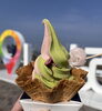 SAKURA新宮抹茶ソフトクリーム「春の限定ソフトクリーム販売開始♪」