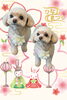 「Dog salon mofu mofu　余市町」