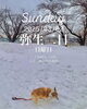 「Sunday, 2nd March 2025.」