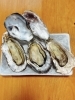 広島直送の大粒蒸し牡蠣「本日限定!広島直送大粒牡蠣@青梅(河辺エリア)の小料理が美味しい隠れ家的居酒屋【酒処 圭】」