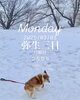 「Monday, 3rd March 2025.」