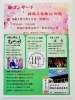 「満開の桜と音楽の饗宴！御瀧不動尊金蔵寺で「桜コンサート」開催＆お花好きボランティア大募集中！」