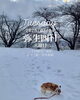 「Tuesday, 4th March 2025.」