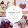 モスアート「3月15日ワークショップのお知らせ📢」