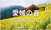 「愛媛の音 第16弾「四国中央市〜翠波高原 菜の花〜」」