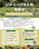 「再開！3月のビオトープ生き物観察会𓆏」