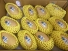 タイ産マンゴー☀️「本日はタイ産マンゴーのご紹介です🌞　 枚方ビオルネ地下1階　新鮮果実 日野屋🍑🍓🍍」