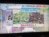 水卜アナ、とても丁寧に説明して頂きました。「☆3月6日『ZIP!』（日テレ）無事にオンエア☆」