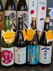 「希少な日本酒【魚も酒も自ら厳選する瑞江の小料理屋】」