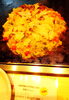 ❶『謝謝好じゃ：おいしさに感謝！』「中学2年生が考案した「もんじゃ焼き」を食べてみました！」
