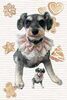 「Dog salon mofu mofu　余市町」