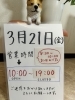 よろしくお願いします🙇♀️「お知らせ- ̗̀📣」