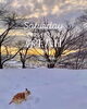 「Saturday, 7th March 2025.」
