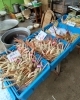 「カニシーズンの週末としてはあと2回🦀」