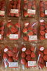 いちご「いちご、大粒から小粒までたくさん採れています🍓🍓🍓」
