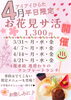 「《4月の平日限定プラン》～お花見サ活～」