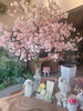 「FLORIST愛夢の大型樹木、🌸大島桜🌸 ついに完成いたしました！」