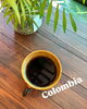 「Colombia El Cedro 」