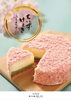 「ちいずけぇき ぷらんたん　販売中 【伊那市のお土産、ケーキ、スイーツといえばちいずくっきい】」