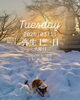 「Tuesday, 11th March 2025.」