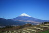 「みんなに自慢したい！三島からの富士山写真 大募集！！」