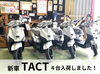 「TACT台数限定値引き価格で販売中！」