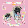 「Dog salon mofu mofu　余市町」