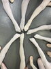 「バレエの象徴のひとつ【新小岩】のKBバレエスタジオ」