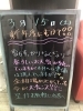 「春の始まり🌸」