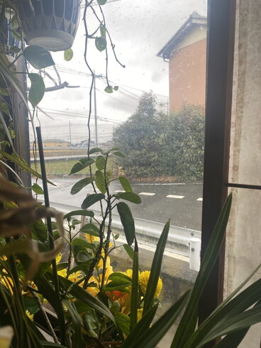 外は小雨。気温5°寒の戻りです。「平成7年創業。元警視庁刑事 顧問。探偵歴33年。浮気調査・人探し 防犯対策等、茨城-土浦・つくば 群馬-前橋 埼玉-春日部・上尾・熊谷 千葉-船橋・松戸・柏 元警視庁刑事 顧問 若葉探偵社」
