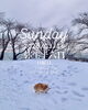 「Sunday, 16th March 2025.」