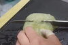 タコの卵の塩辛「タコの卵の塩辛」