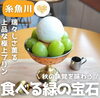 「【9月限定】絲と糸さんのシャインマスカットプリン🍮」