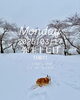 「Monday, 17th March 2025.」