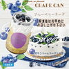 ✨スイーツ缶/ブルーベリーチーズ✨「📣スイーツ缶ブルーベリー再販📣」