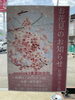 「「stoc9と桜満開のお花見会！」」