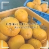 大きくてびっくり👀‼️「甘夏をいただきました🍊」