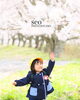 「幼稚園や保育園の入学フォトも桜ロケーションで✨👧」
