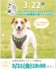 「wanチャンス出身ジャックラッセルテリアの・・・🐶」