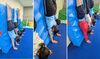壁掛け倒立「🤸‍♀🤸‍♂ クラブならではの体操 🤸‍♂🤸‍♀　★英会話と体操のコラボ教室（堀切、お花茶屋、綾瀬、亀有、小菅）」