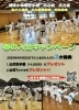 名古屋空手道場の春のキャンペーン「空手道場(名古屋)から新春キャンペーンのお知らせ!!入会申し込みされた方先着20名様(残り1３名様）に限らせて頂きます。」