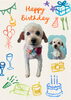 「Dog salon mofu mofu　余市町」