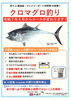 「クロマグロ釣り」
