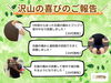 「お客様のお声【松江・出雲・米子・整体・根本改善】」