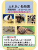 「ふれあい動物園と川エビ釣り！春休みも週末もかすみがうら市水族館で遊ぼう✨【かすみがうら屋内体験遊び場/淡水魚/ウーパールーパー/オオサンショウウオ/動物ふれあい⛲️】」