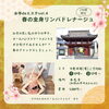 4/14(月)春のリンパドレナージュ受付中「[和歌山エステ　イベント]春にはリンパドレナージュを！ぜひ。」