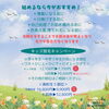 「【キッズ脱毛キャンペーン】いよいよ3月31日まで！⭐︎江戸川区平井駅徒歩2分！墨田区、江東区の方も通いやすいサロン」