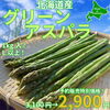 グリーンアスパラ「アスパラ各種、予約販売中のお知らせ！」